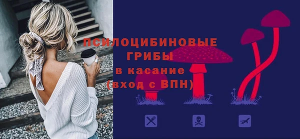 индика Кодинск