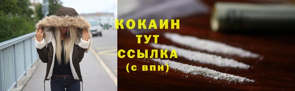 индика Кодинск