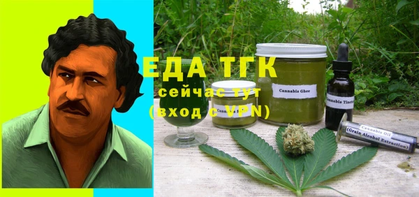 индика Кодинск