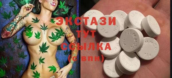 индика Кодинск