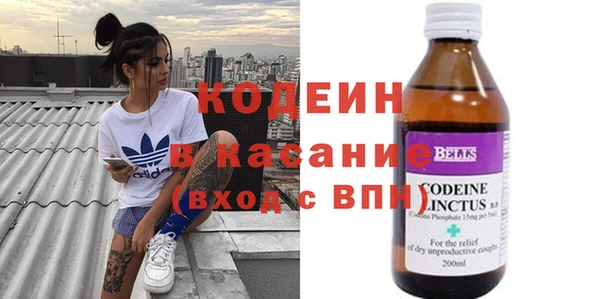 индика Кодинск